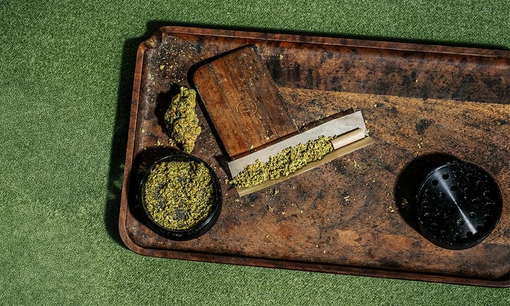 special 3364280 photo