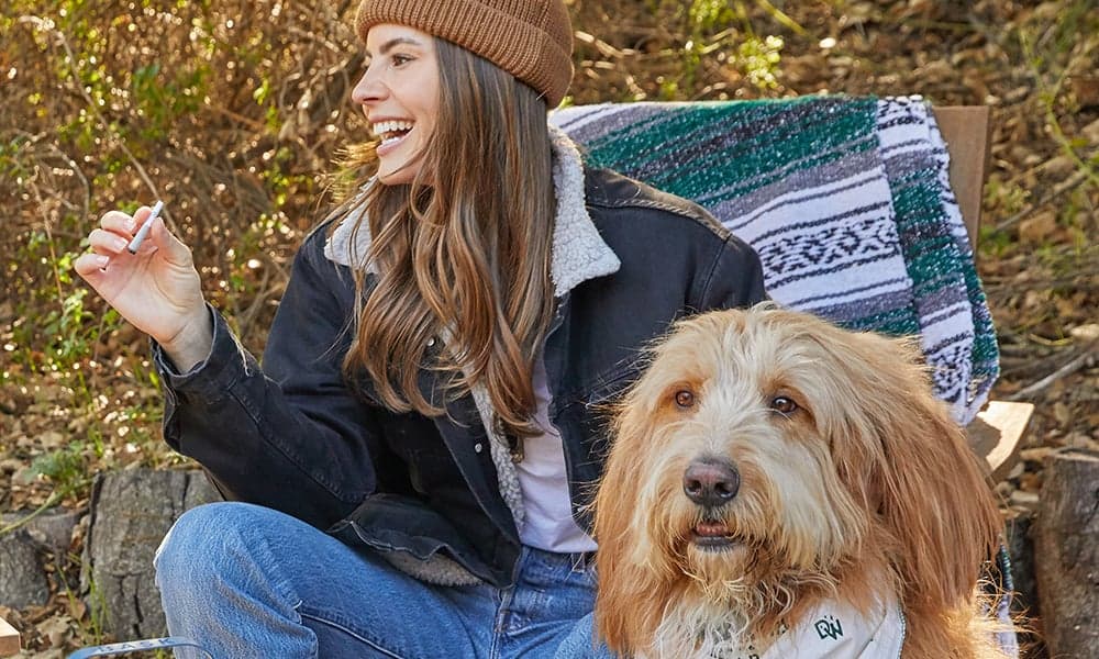 special 3308116 photo