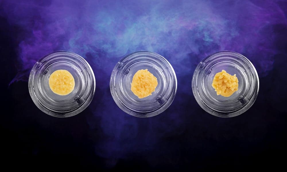 special 3364279 photo