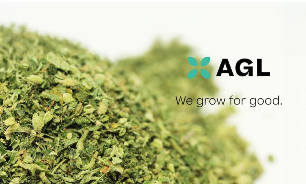 special 3208946 photo