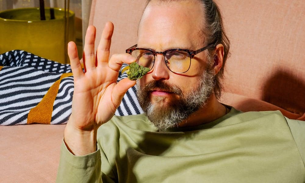 special 3364645 photo