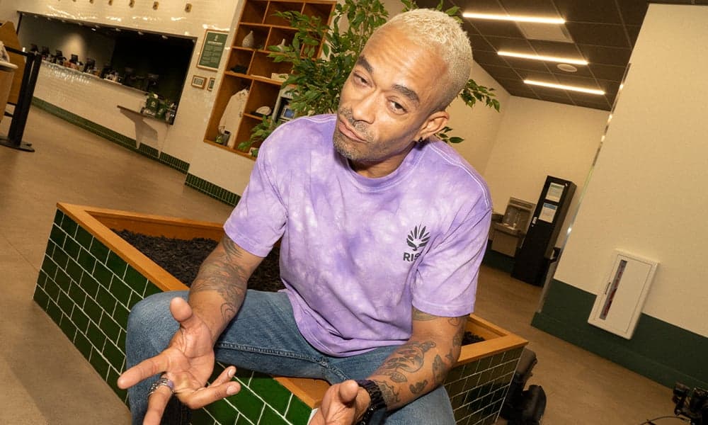 special 3393533 photo