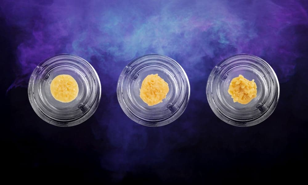 special 3303357 photo