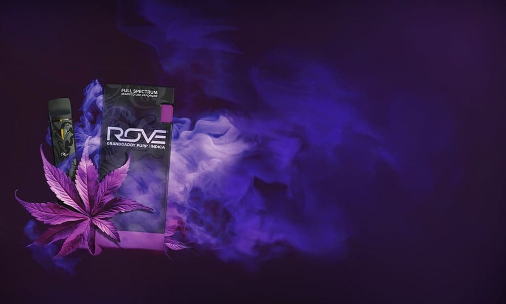 special 3388944 photo