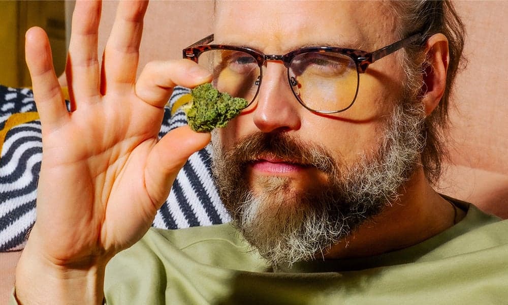 special 3389184 photo