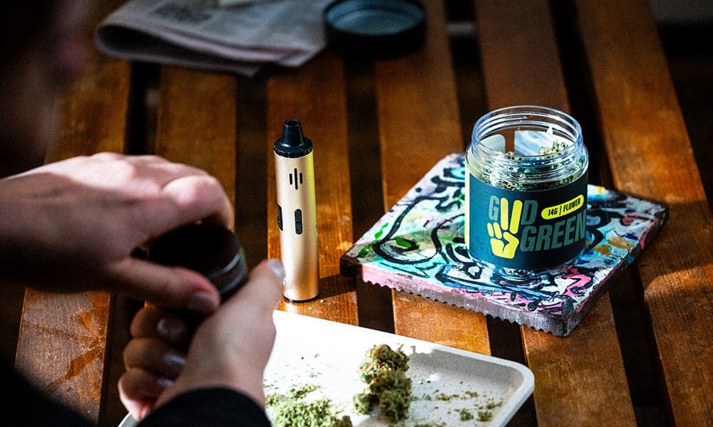 special 3362425 photo